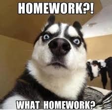 Homework what_