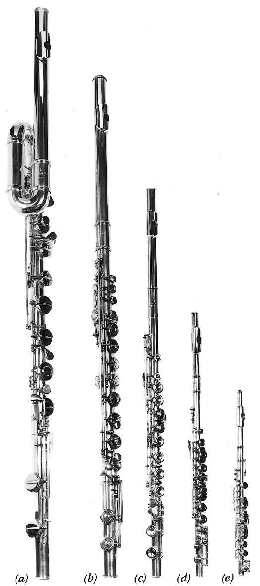 Flutes From Little To Large Interlude