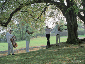 Talich Quartet playing in the gardenCredit: Guy Vivien