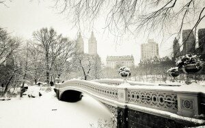 Winter in New YorkCredit: http://www.desktopwallpapers4.me/