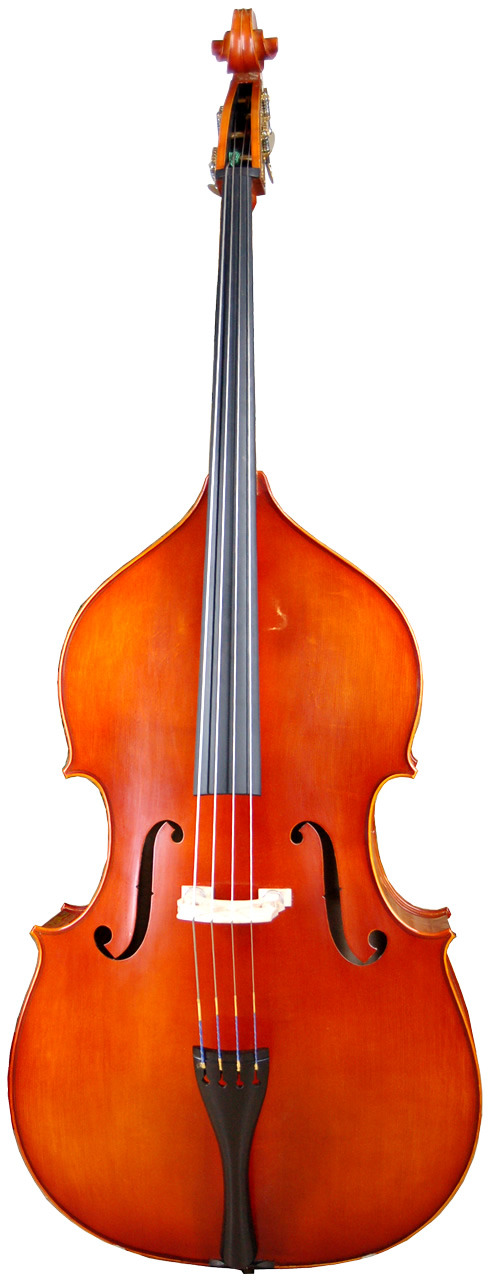 Instruments of the Orchestra IV: The Double Bass