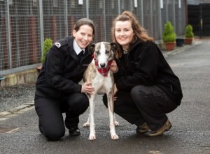Gilly Amy and Maurice the lurcher