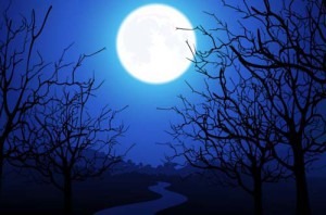 Moonlight treesCredit: http://pixelbell.com/