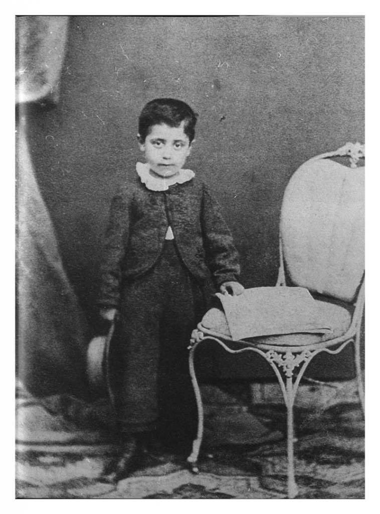 GUSTAV MAHLER EARLY LIFE visual data 2