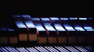 Piano dampers and strings (photo: James Eppy)