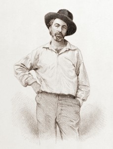  Walt Whitman, age 35, from the frontispiece to Leaves of Grass.