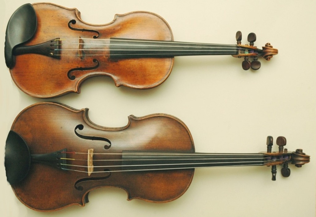 Choosing Between the Violin and Viola? Why Not Play Both?