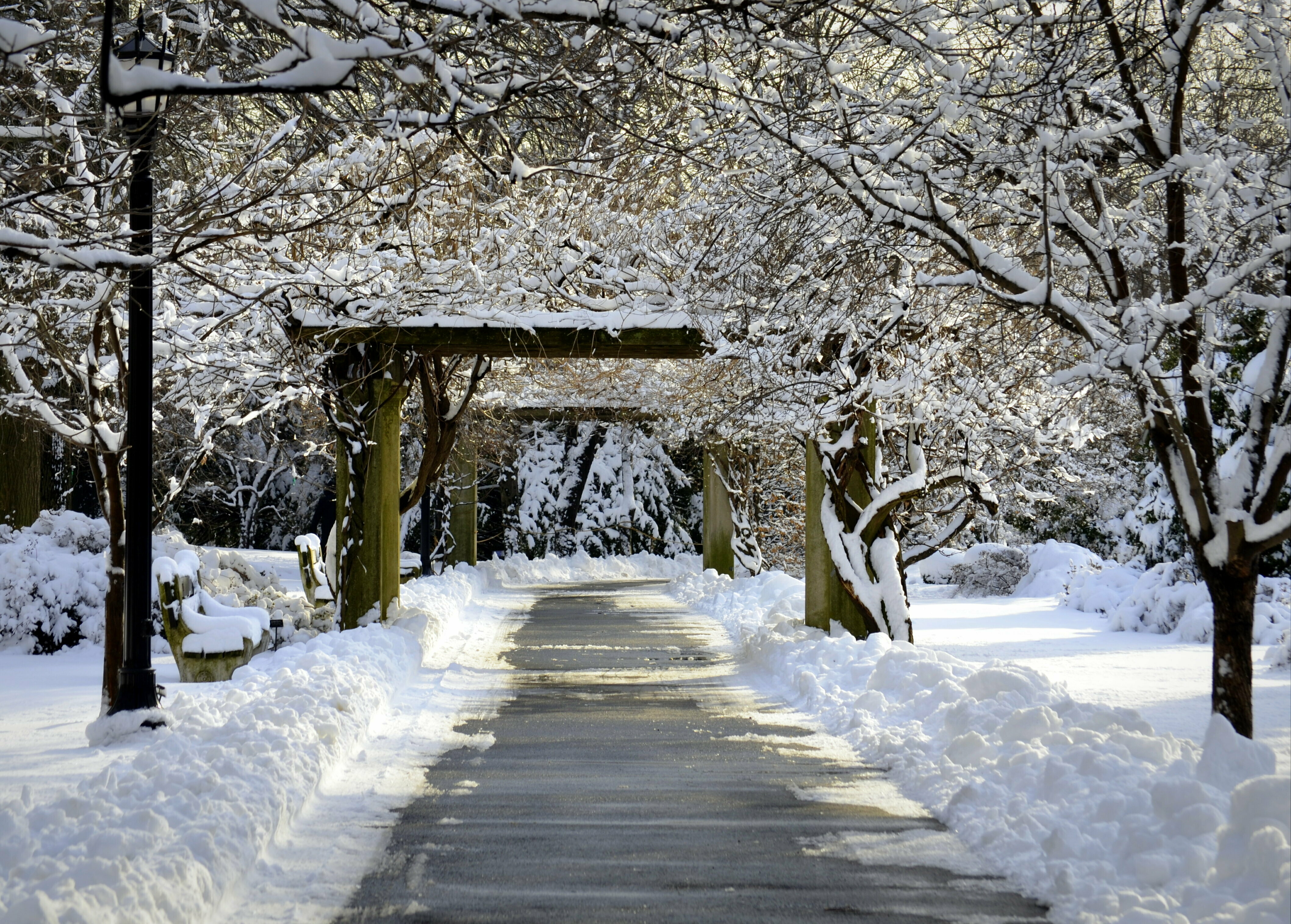 Brooklyn Botanical Garden in Winter 
