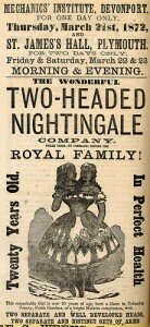 Two-Headed Nightingale