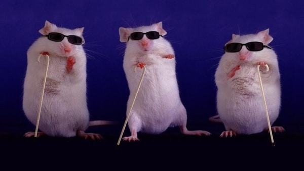 Реферат: 3 Blind Mice