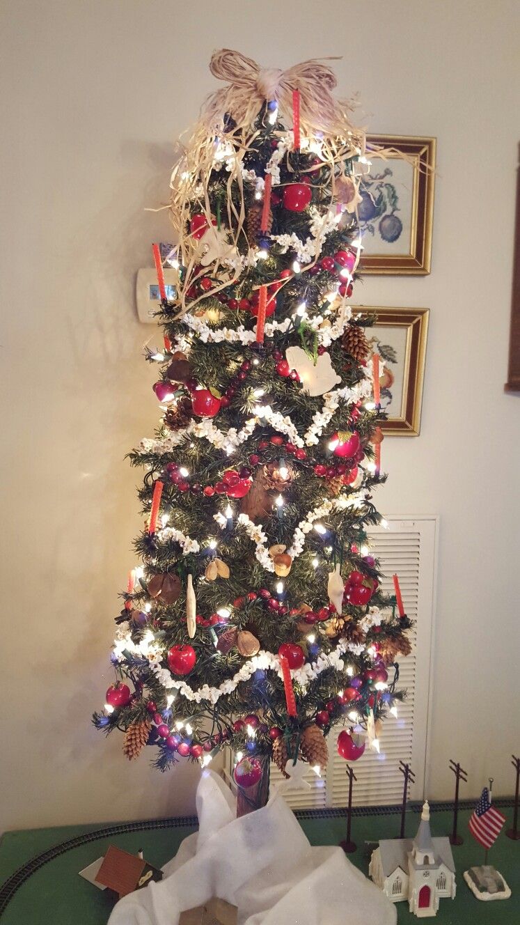 Christmas in America