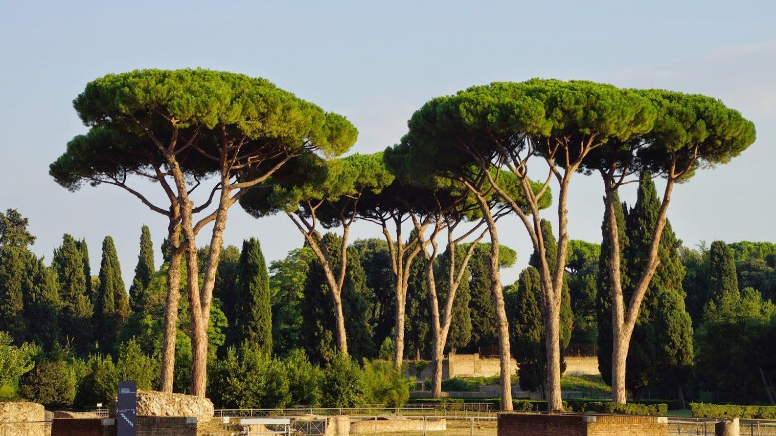 Pines of Rome
