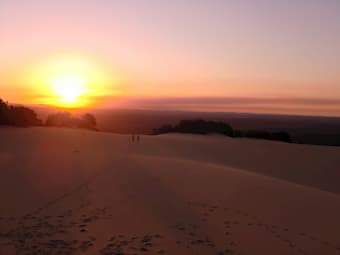 Cooloola Sandpatch in Australia
