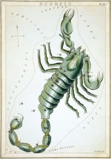 "Scorpio", plate 23 in Urania's Mirror, a set of celestial cards accompanied by A familiar treatise on astronomy ... by Jehoshaphat Aspin. London. Astronomical chart, 1 print on layered paper board : etching, hand-colored.