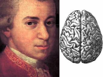 mozart effect and the brain