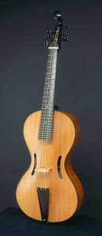 Arpeggione, a form of bowed guitar