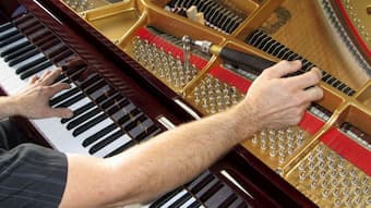 While regular tuning is a significant part of piano care, there are a number of other aspects which need attention. 