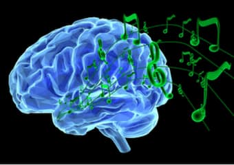 Chill-inducing songs boost cortical connectivity and activate dopamine release.