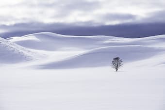 Listen to atmospheric piano pieces that evoke the winter season