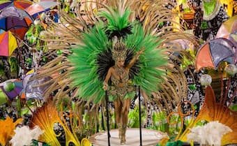 Rio Carnival Costume