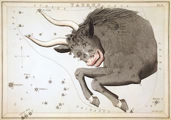 "Taurus", plate 17 in Urania's Mirror by Jehoshaphat Aspin.