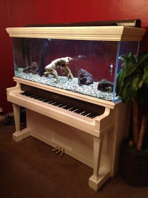 Piano Aquarium