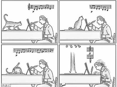 How Was Haydn Inspired by a Cat?