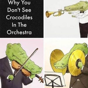 why you dont see crocodiles in the orchestra joke