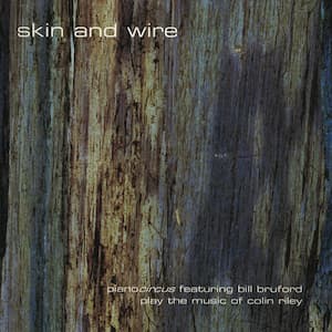 Skin and Wire album by Colin Riley