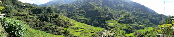 rice terraces