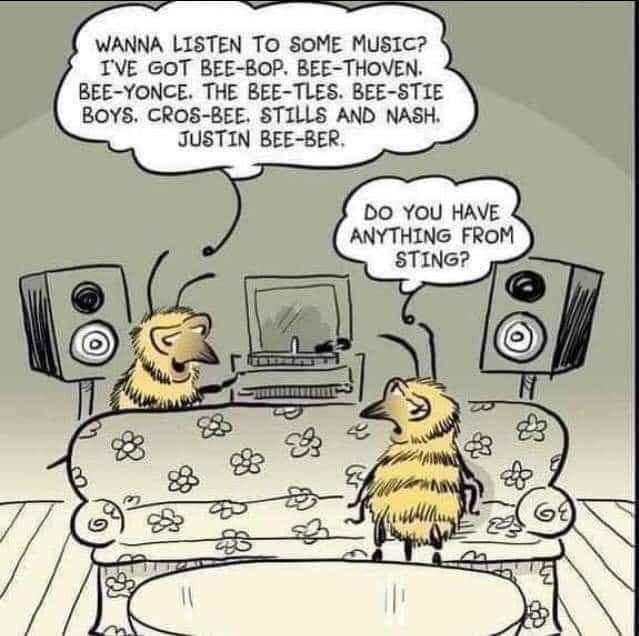 bee music joke
