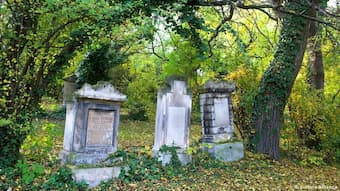 Old Gravestones at St Marx Cemetery Vienna