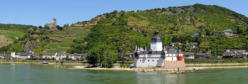 Castles Vinyards on the Rhine