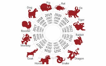 Chinese Zodiac