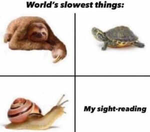 world slowest things