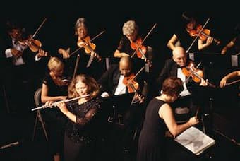 professional orchestra musicians