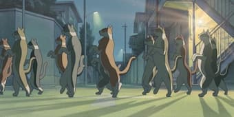Cat Procession from Studio Ghibli’s The Cat Returns