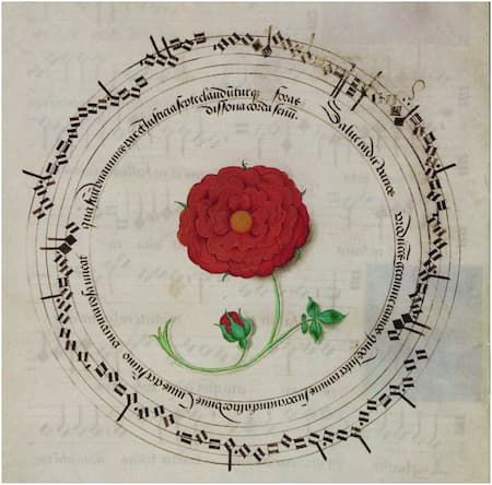 The Rose Canon (Contratenor parts) (British Library)