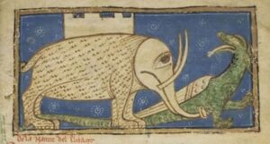 Medieval Elephant