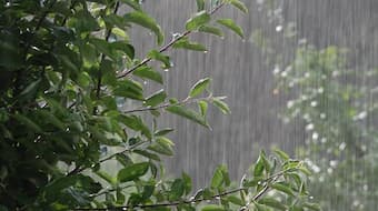 heavy summer rain in classical music
