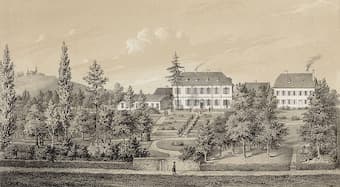 The private psychiatric hospital in Endenich, 1860