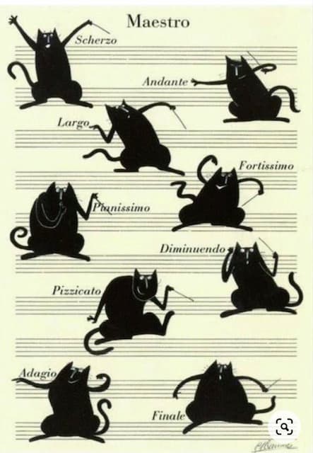 Cat and music conductor