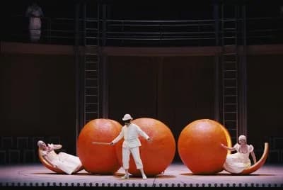 The Love for Three Oranges, 2005 (Opera Bastille)