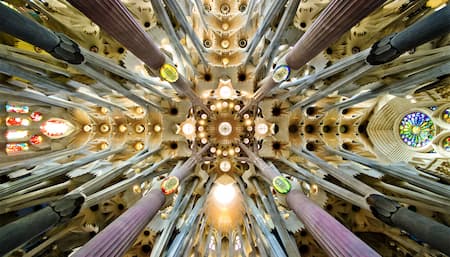 The Nave of Sagrada Familia, looking up