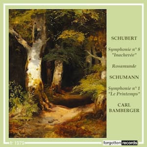The Mystery Symphony: Schubert’s Unfinished Symphony No. 8