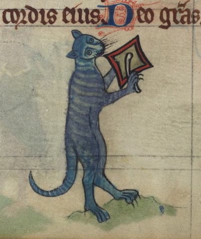 Tibert the Cat playing a square drum, detail from fol. 78v