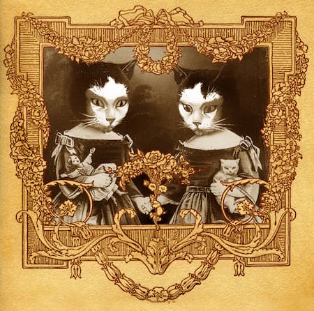 The English Cat, programme cover, 2014 (USC Thornton)