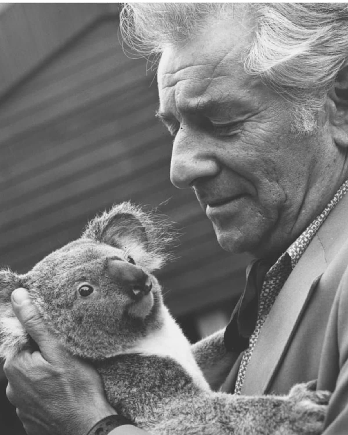 Leonard Bernstein with a koala bear in Lone Pine Koala Sanctuary in Brisbane Australia, 1974