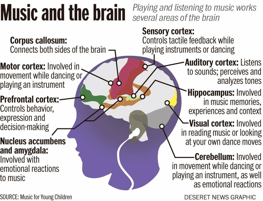 Infographic explaining how playing and listening to music works several areas of the brain
