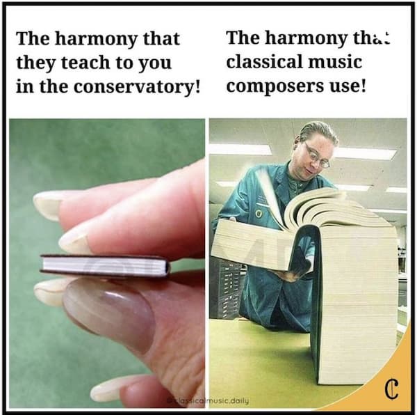 The Harmony that Classical Composers Used